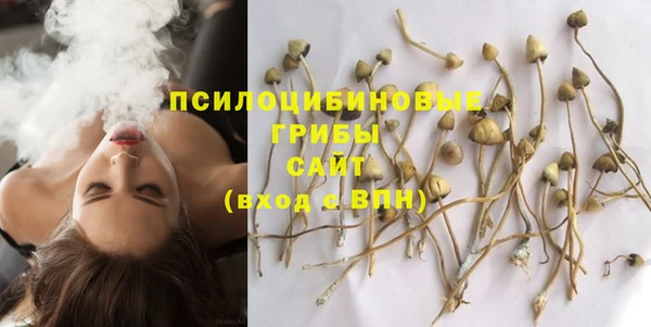 крисы Алзамай