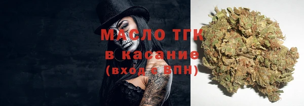 крисы Алзамай